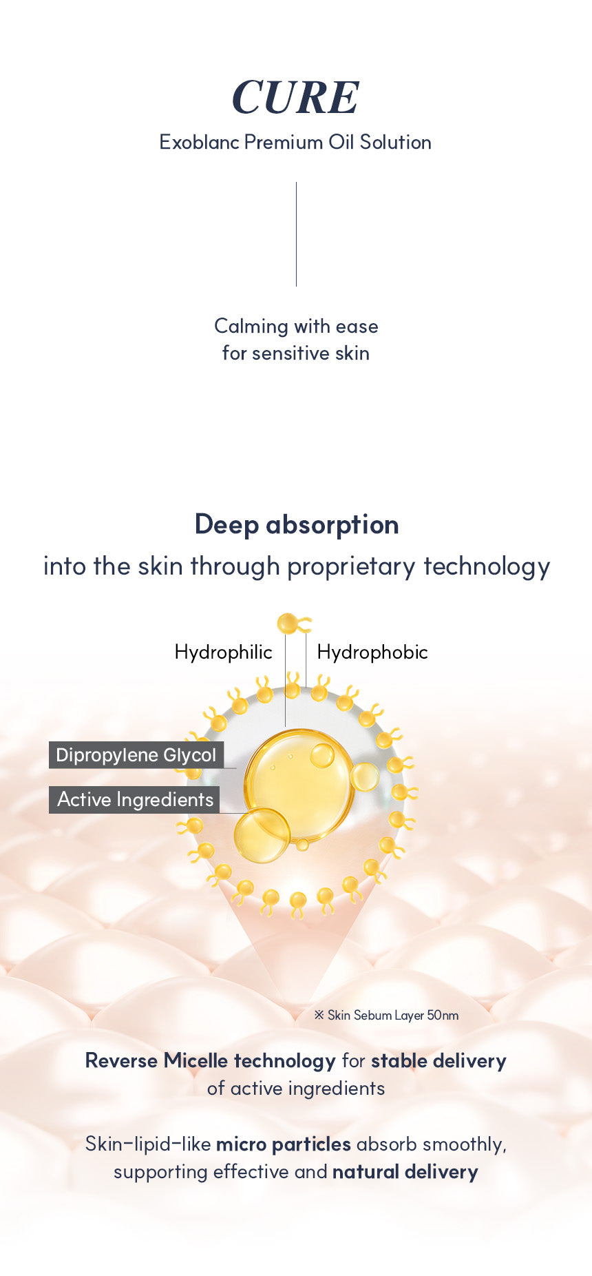 NEW!! Exoblanc Oil CURE